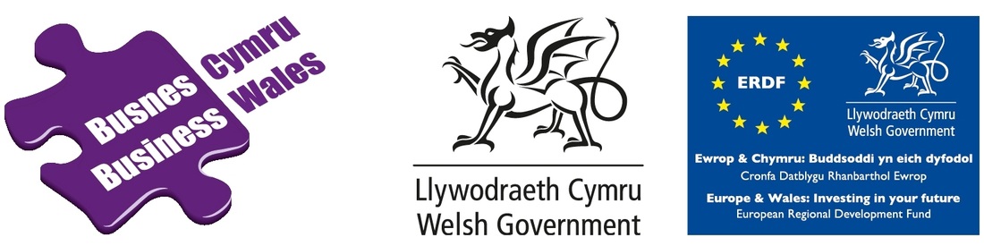 Business Wales Mentoring